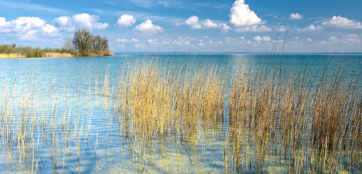 Seehotel Fleesensee