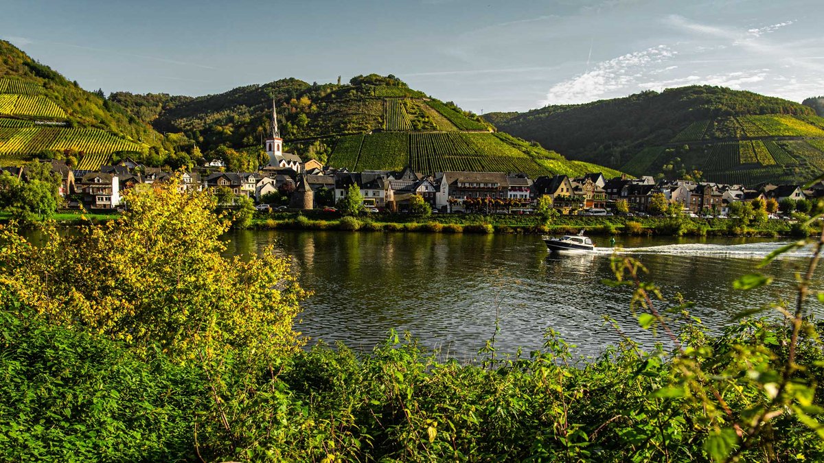 Weingut-Brennerei Gutshof Zenz