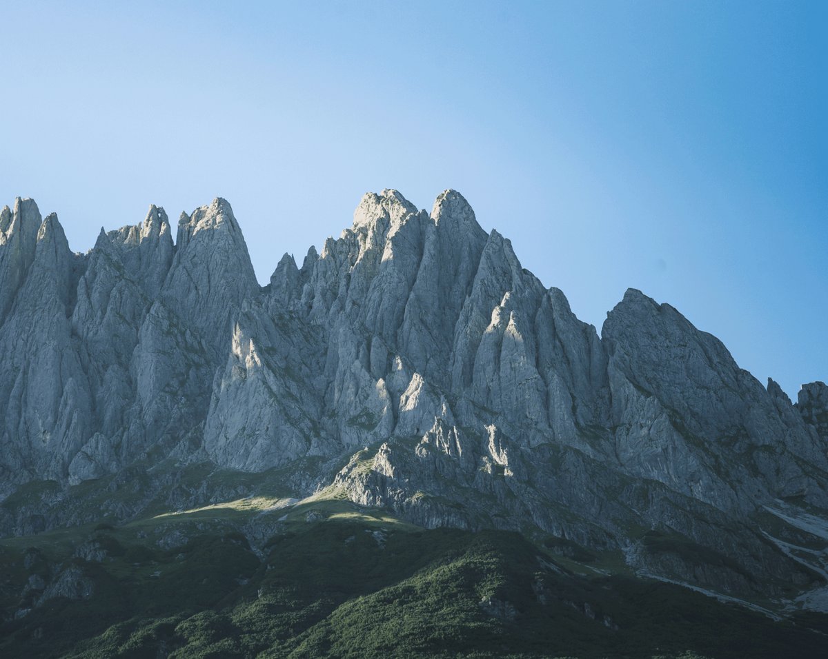 Alpina
