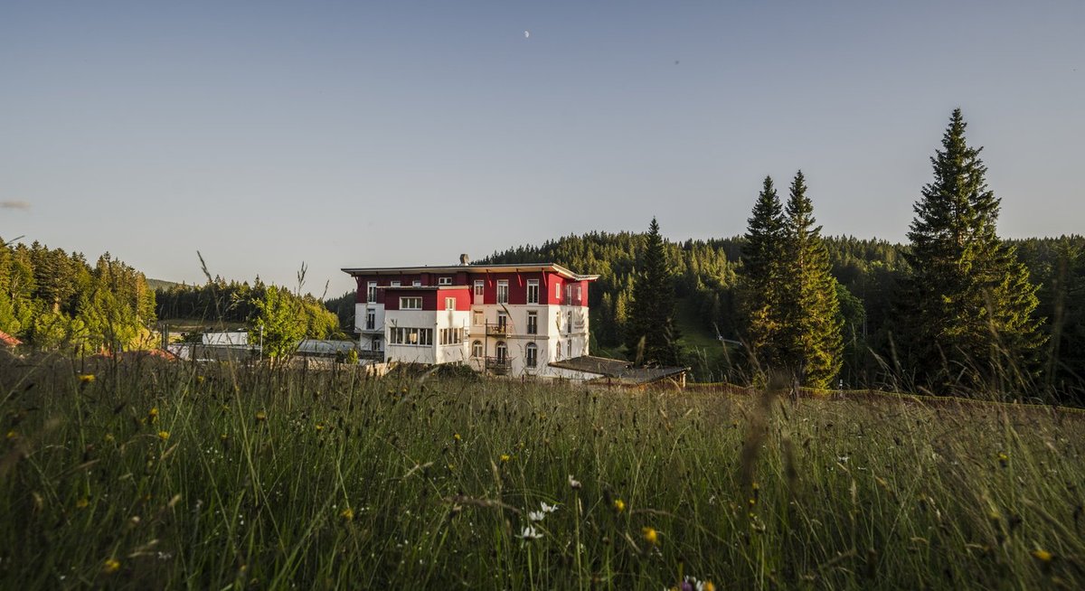 Waldhotel am Notschreipass