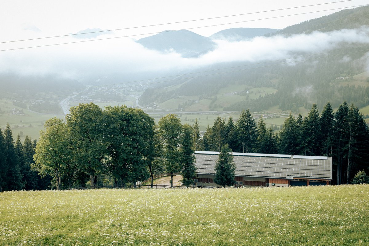 Winterbauer