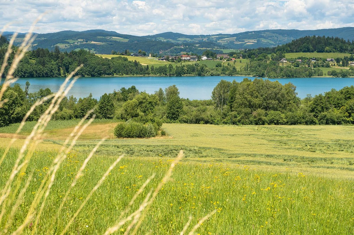 Seehof
