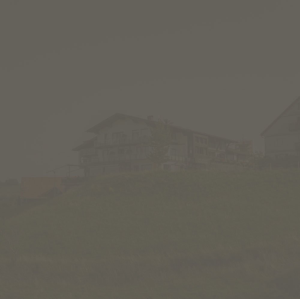 Schönblick