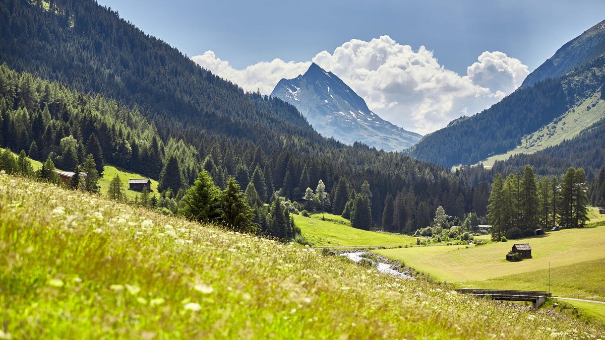 Hotel Wirlerhof