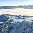 Allgäuer Berghof