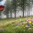 relexa Hotel Harz-Wald Braunlage