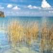 Seehotel Fleesensee
