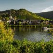 Weingut-Brennerei Gutshof Zenz