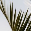 Hotel Parks Velden